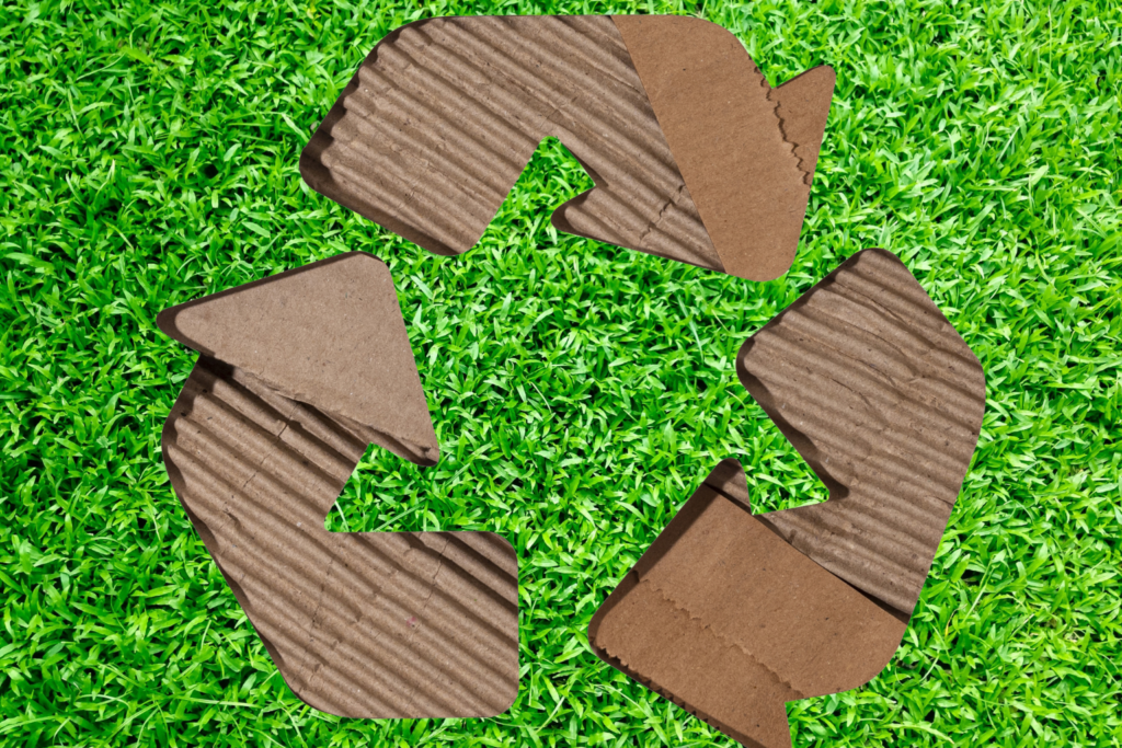 Environmental Benefits of Sustainable Packaging and POS