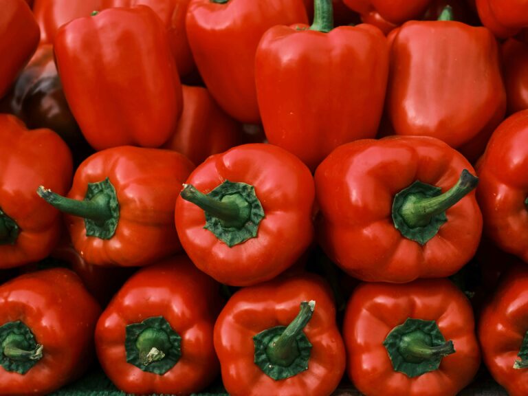 Produce Packaging, Eco Friendly Cardboard Packaging, Garthwest